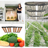 Sonlipo SPC6500 LED Grow Lights, 3 Type of Full Spectrum Grow Light 650W, 6x6 ft Coverage with 2928 Samsung LEDs