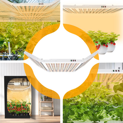 Sonlipo SFP6000 LED Grow Light 600W 6x6ft Coverage, 1911pcs Diodes Sunlike Full Spectrum Veg Bloom Switch Growing Lamps