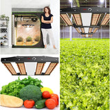 Sonlipo 250W LED Grow Lights