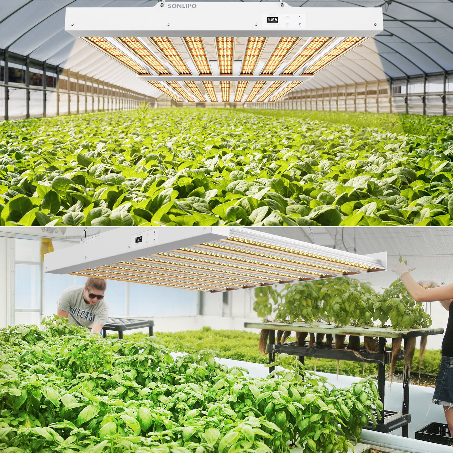 Sonlipo SPF4000PRO LED Grow Light 400W with Full Spectrum Veg & Bloom Dimmer Timer - 5x5ft Coverage