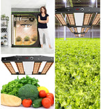Sonlipo SPC2500 LED Grow Lights, 3 Type of Full Spectrum Grow Light 250W, 4x4 ft Coverage with 1220 LEDs